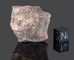 NWA 15679 - Found 2002, Morocco, Africa. Chondrite H4/5. Total mass 129.45 grams. - Slice gr.13.31 - € 13,00