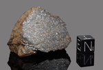 SALAICES - Found 1971, Chihuahua, Mexico. Chondrite H4. Total mass 24.5 kg. - End piece gr.47.7 - € 210,83