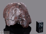 DHOFAR 005 - Recuperata nel Marzo 2000, Oman. Chondrite L6. Massa totale recuperata 125.5 kg. Pezzo in collezione: frammento gr.218 (McM69) 
