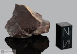 DHOFAR 217 - Recuperata il 25 Aprile 2000, Oman. Chondrite L6. Massa totale recuperata 602 grammi. Pezzo in collezione: frammento gr.31 (McM408)