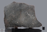 ETTER - Recuperata nel 1965, riconosciuta nel 1966, Contea Moore, Texas, USA. Chondrite L5. Massa totale recuperata 256 kg. Pezzo in collezione: fetta gr.546 (McM85) 