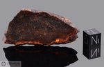 FORESTBURG (A) - Recuperata nel 1957, Contea Montague, Texas, USA. Chondrite L4. Massa totale recuperata 26.6 kg. Pezzo in collezione: fetta gr.16 (McM088) 