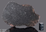 GHUBARA - Recuperata nel 1954, Oman. Chondrite L 5 xenolitica. Massa totale recuperata 1750 kg.. Pezzo in collezione: fetta gr.128.6 (McM093)