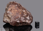 GOLD BASIN - Recuperata nel 1995, Contea Mohave, Arizona, USA. Chondrite L4. Massa totale recuperata 61 kg. Pezzo in collezione: frammento gr.590 (McM101) 