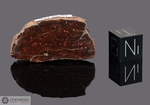 HUGHES 014 - Recuperata nel 1991, Nullarbor Plain, Sud Australia. Chondrite L5/6. Massa totale recuperata 57.5 grammi. Pezzo in collezione: fine pezzo gr.11.6 (McM115) 