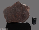 LONG ISLAND - Recuperata nel 1891, Contea Phillips, Kansas, USA. Chondrite L6. Massa totale recuperata 600 kg. Pezzo in collezione: fine pezzo gr.153 (McM504)