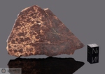 MACY - Recuperata nel 1984, Contea Roosevelt, Nuovo Messico, USA. Chondrite L6. Massa totale recuperata 42 kg. Pezzo in collezione: fetta gr.47 (McM139)