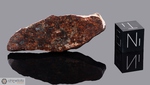 SAN JUAN 001 - Recuperata nel 2001, Taltal, Deserto di Atacama, Cile. Chondrite L5. Massa totale recuperata 1508 grammi. Pezzo in collezione: fetta gr.7.4 (McM572) 