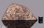 TENHAM - Caduta nel 1879, South Gregory, Queensland, Australia. Chondrite L6 venata. Massa totale recuperata 160 kg. Pezzo in collezione: fetta gr.45.4 (McM354) 
