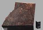 WAGON MOUND - Recuperata nel 1932, riconosciuta nel 1999, Mora County, Nuovo Messico, USA. Chondrite L6 brecciata. Massa totale recuperata 87.5 kg. Pezzo in collezione: fetta gr.95.3 (McM254) 