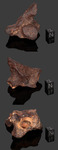 MUNDRABILLA – Found 1911, Nullarbor Plain, Australia. Iron Octahedrite IAB-Ung. Total mass 24 tons. - Individual gr.176 - € 563,20