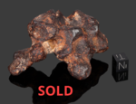 MUNDRABILLA – Found 1911, Nullarbor Plain, Australia. Iron Octahedrite IAB-Ung. Total mass 24 tons. - Individual gr.351.5
