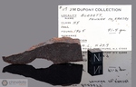 BURDETT - Recuperata nel 1940, Pawnee County, Kansas, USA. Chondrite H5. Massa totale recuperata 8.6 kg. Pezzo in collezione: fetta gr.15.6 (McM603) dalla collezione JM DuPont e Huss.