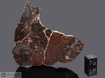 DHOFAR 010 - Recuperata nel 2000, Dhofar, Oman. Chondrite H6 Impact Melt Breccia. Massa totale recuperata 3527 grammi. Pezzo in collezione: fetta gr.59 (McM453) 