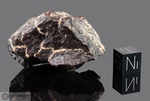 DHOFAR 197 - Recuperata il 4 Dicembre 2000, Dhofar, Oman. Chondrite H4. Massa totale recuperata 174.5 grammi. Pezzo in collezione: frammento gr.51(McM409) 