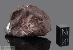 DHOFAR 202 - Recuperata il 26 Gennaio 2000, Dhofar, Oman. Chondrite H4/5. Massa totale recuperata 1178 grammi. Pezzo in collezione: frammento gr.64 (McM410) 