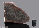 DHOFAR 334 - Recuperata il 27 Aprile 2000, Dhofar, Oman. Chondrite H3.9. Massa totale recuperata 973 grammi. Pezzo in collezione : massa maggiore gr.344 (McM586)