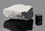 EL HAMMAMI - Recuperata nel 1997, Tiris Zemmour, Mauritania, Africa. Chondrite H5/6. Massa totale recuperata 240 kg. Pezzo in collezione: frammento con crosta gr.101.2 (McM79) 
