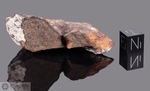 JUANITA DE ANGELES - Recuperata nel 1992, vicino Las Amosgoas, Chihuahua, Messico. Chondrite H5. Massa totale recuperata 85 kg. Pezzo in collezione: frammento gr.47.6 (McM123)