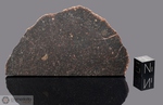 LOST CREEK - Recuperata nel 1916, Kansas, USA. Chondrite H3.8. Massa totale recuperata 4018 grammi. Pezzo in collezione: fetta gr.40.5 (McM491) 