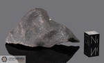 OUM DREYGA - Caduta 16 Ottobre 2003, Oum Dreyga, Marocco, Africa. Chondrite H3/5. Massa totale recuperata oltre 15 kg. Pezzo in collezione: frammento orientato con crosta gr.69.2 (McM606)