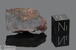 RAMMYA - Recuperata nel 1996, Erfoud, Marocco, Africa. Chondrite H5/melt. Massa totale recuperata 2.481 kg. Pezzo in collezione: fine pezzo gr.6.57 (McM193) 