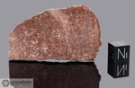 SAHARA 99748 - Recuperata nel 1999, Deserto del Sahara, Africa. Chondrite H5/6. Massa totale recuperata 355 grammi. Pezzo in collezione: fetta gr.16.8 (McM214) 