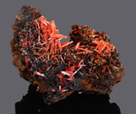 Crocoite - Adelaide Mine, Dundas mineral field, Zeehan District, Tasmania, Australia - Campione di 104.76x78.48 com area cristallizzata di 67.60 mm - € 100,00  