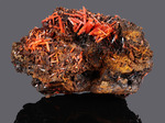 Crocoite - Adelaide Mine, Dundas mineral field, Zeehan District, Tasmania, Australia - Campione di 104.76x78.48 com area cristallizzata di 67.60 mm - € 100,00  
