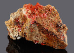 Crocoite - Adelaide Mine, Dundas mineral field, Zeehan District, Tasmania, Australia - Campione di 109.29x68.96 mm com area cristallizzata di 46.98 mm - € 80,00  