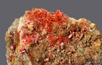Crocoite - Adelaide Mine, Dundas mineral field, Zeehan District, Tasmania, Australia - Campione di 109.29x68.96 mm com area cristallizzata di 46.98 mm - € 80,00  