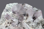 Fluorite - El Filo vein, Santa Librada, Mapimí Municipality, Durango, Messico - Campione di 117.75x81.56, area cristalli di 83.34 - € 80,00