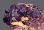 Fluorite - Blanchard Mine, Bingham, Hansonburg District, Socorro County, New Mexico, USA - Campione di 77.74x41.92 - Area con cristalli di 55.49 mm € 50,00